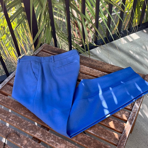 J. Crew Pants - J. CREW Skimmer Pants